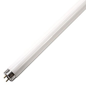 LEDVANCE Fluo cijev LUMILUX T8 L36W/865 T8 (G13) OSRAM -  120cm